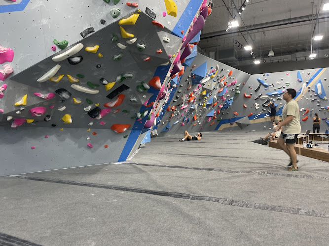 Climbing in Florida
