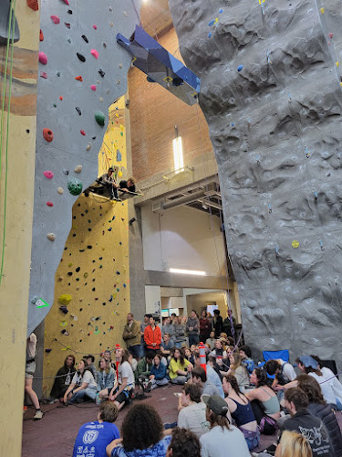 Dixon Recreation Center — indoor rock climbing gym
